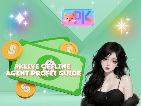 PKLIVE offline agent profit guide